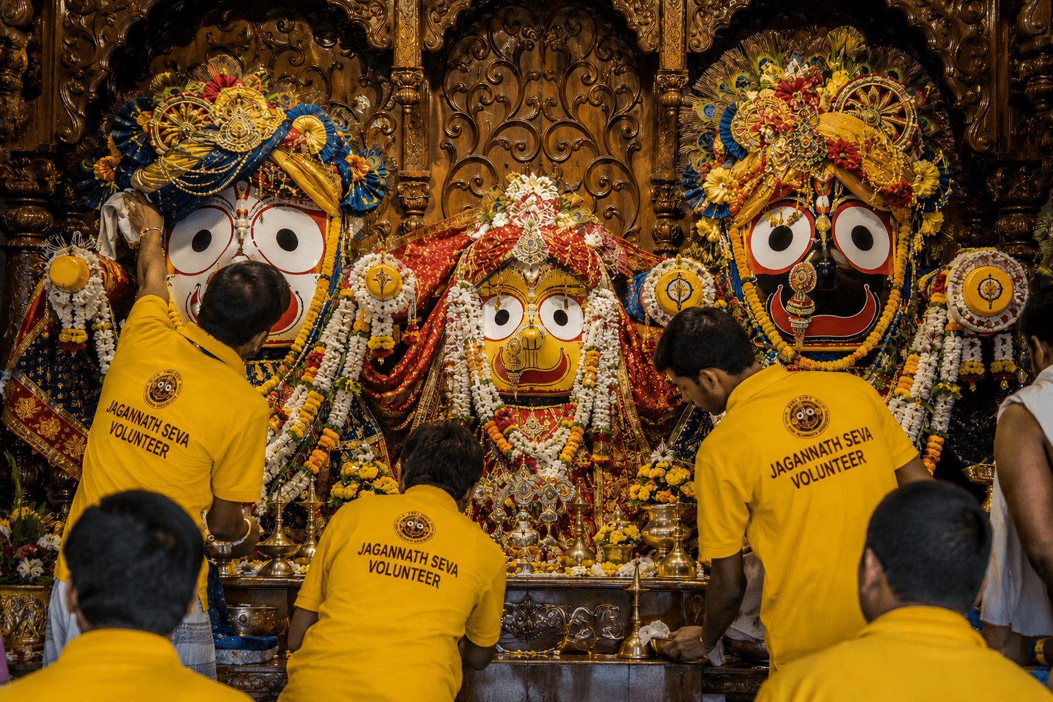 Volunteer Seva